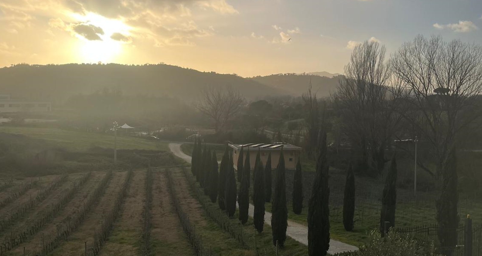 Immersi nella natura