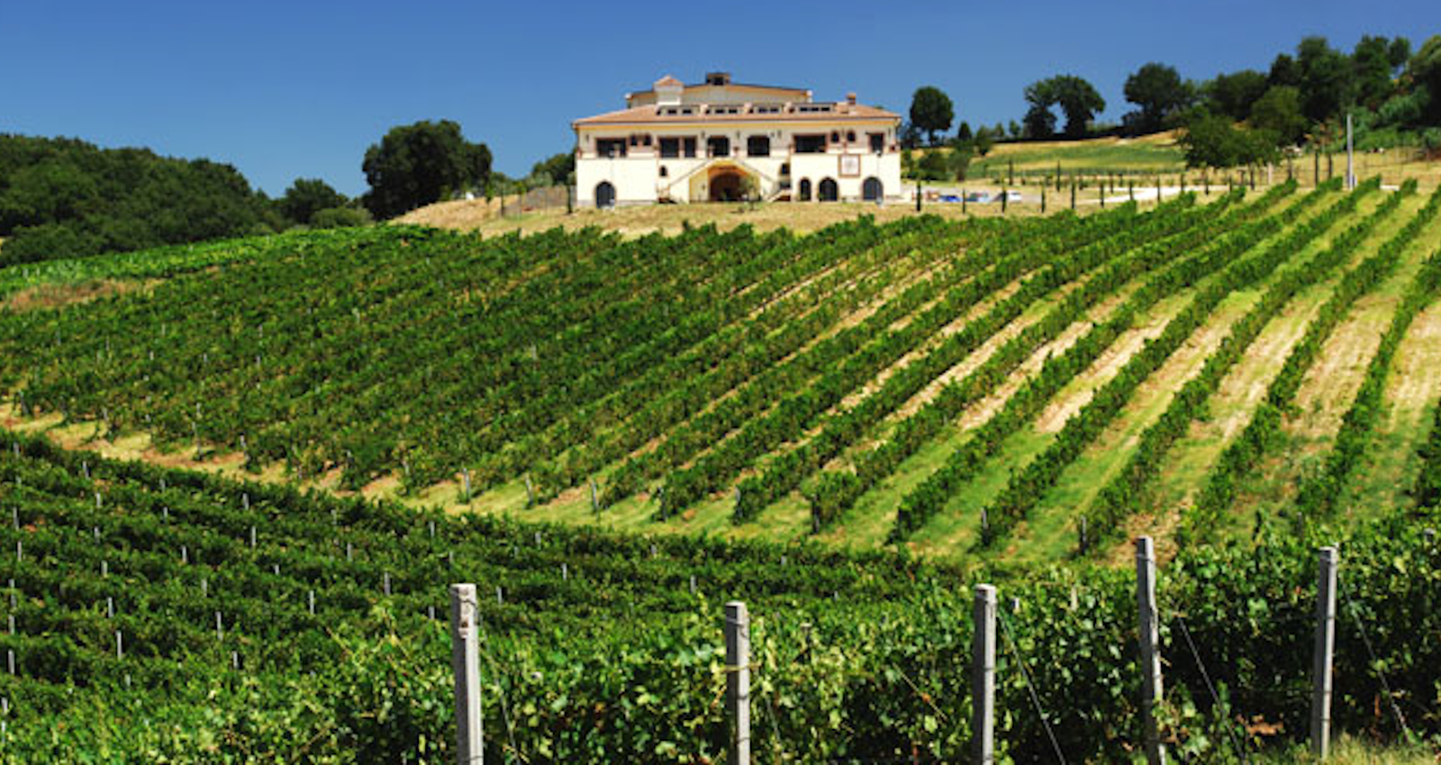 Vini pregiati della Sabina